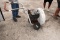 Little Wonder 8HP Blower