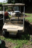 2 Seater Golf Cart