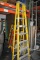 Warner 8ft Ladder