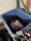 Container of Gas Cans
