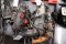 4 Assorted Electric Drills & 1 Rodo Zip