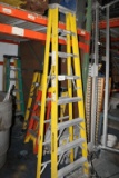 Warner 8ft Ladder