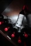 Trapiche Tesoro Malbec UCO 2021 Valley Wine