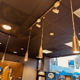 Stainless Hanging Lights