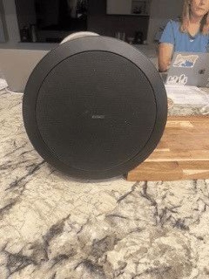 Pendant Speakers