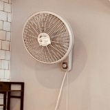 Wall Mount Fan