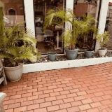 Outdoor Pots