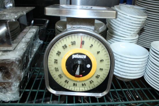 Spring Scale