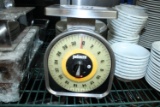 Spring Scale