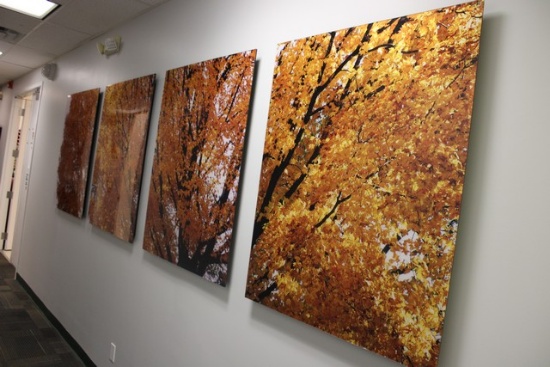 Signed Foliage Print