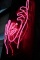 Female Figure Neon