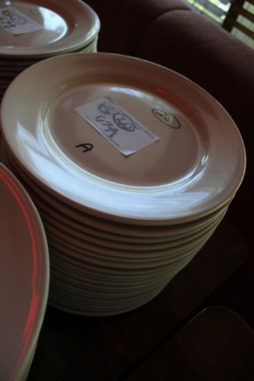 12" ITI RO21 White Plate