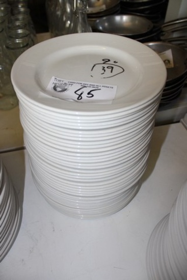 Stealite 9" White Plates