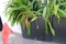Outdoor 12