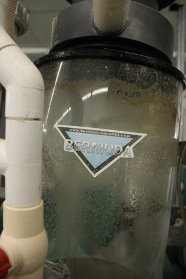 Bermuda Protein Skimmer with Pump & 24"X24" Stainless Table