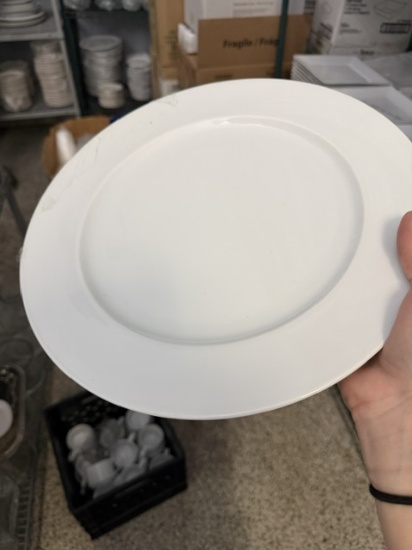 12" Plates