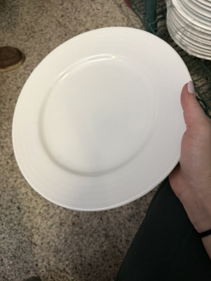 White 9.5" Plates