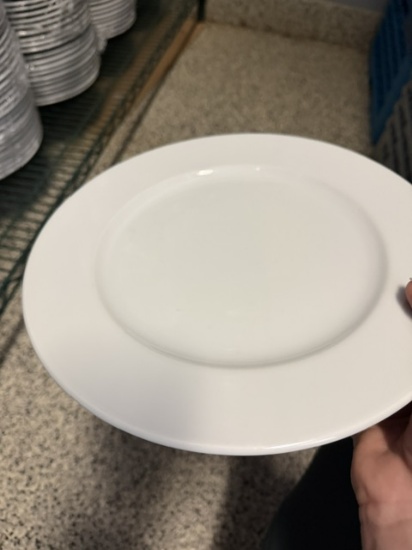 Eschenbach German Porcelin 10" Plates