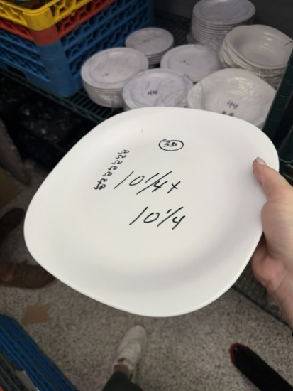 Melamine 10 1/4" x 10 1/4" Plates