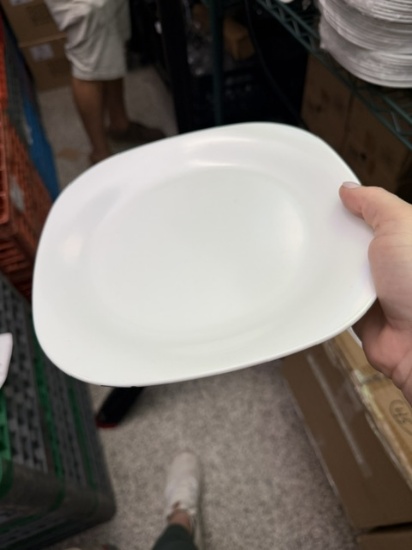 Melamine 8.5" x 8.5" Plates