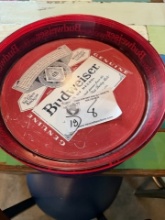 Plastic Trays