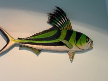 Wood Fish