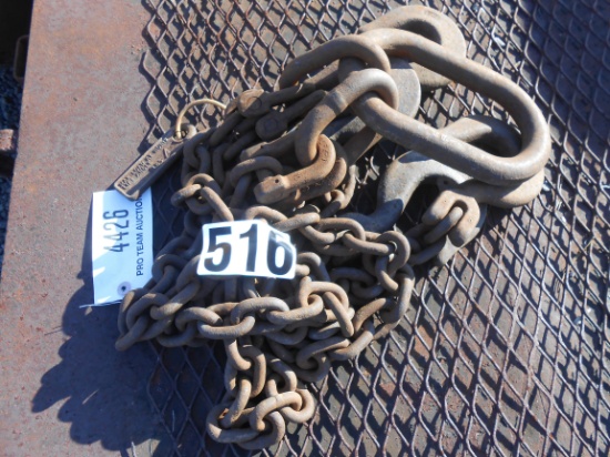 LOG CHAIN/CHOKER