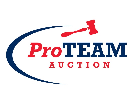 9th Annual Summer Absolute Auction