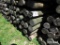 55 PIECES, 3 1/2 X 8 TREATED FENCE POST TAG #5633