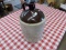 WHISKEY JUG #3