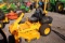 2018 CUB CADET PRO Z 500 PRO Z S 60