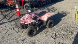 TAOTAU 110 KIDS ATV