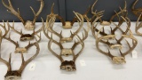 QTY 4) DEER ANTLERS