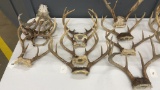 QTY 4) DEER ANTLERS