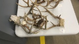 QTY 7) DEER ANTLERS