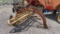 NEW HOLLAND 56 HAY RAKE