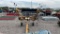 VERMEER 4 BASKET HYDRAULIC FOLD HAY TEDDER