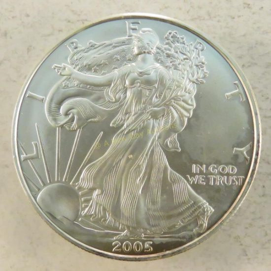 2005 American Silver Eagle