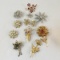 10 vintage floral brooches & 1 pair of earrings