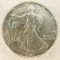 1991 American Silver Eagle