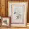 2 Antique Hand colored Lithographs- birds & rabbit