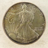2004 American Silver Eagle in case