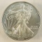 2009 American Silver Eagle