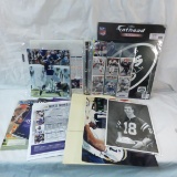 MN Vikings & other NFL collectibles