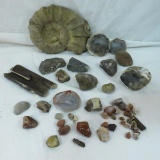 Fossil & rock collection