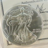 2015 American Silver Eagle UNC