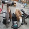 5 different ab related exercise machines, 2 NIB