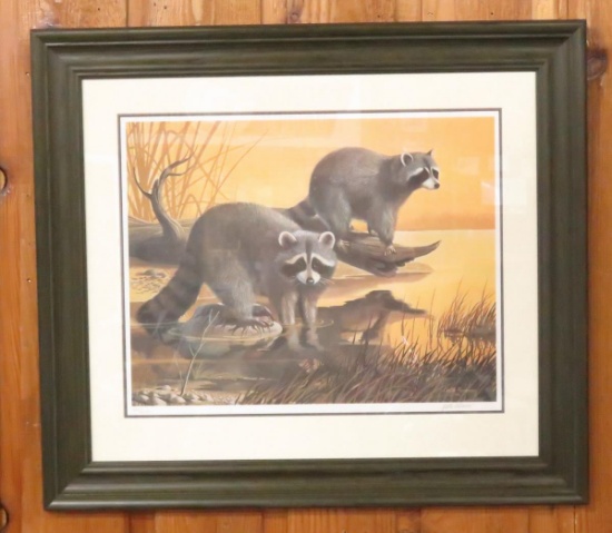 Raccoons LE 492/1000 by Freeman Framed