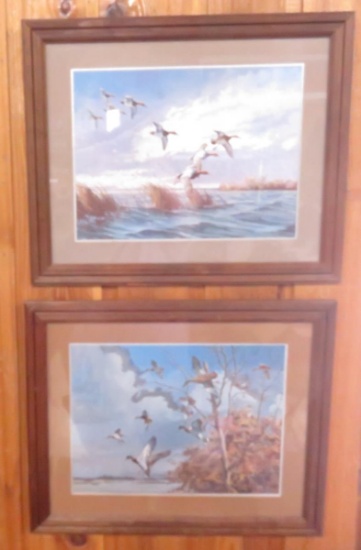 2 Framed Duck Prints by Maass 23x19"