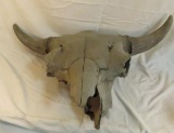 Antique Skull Lake bottom Find